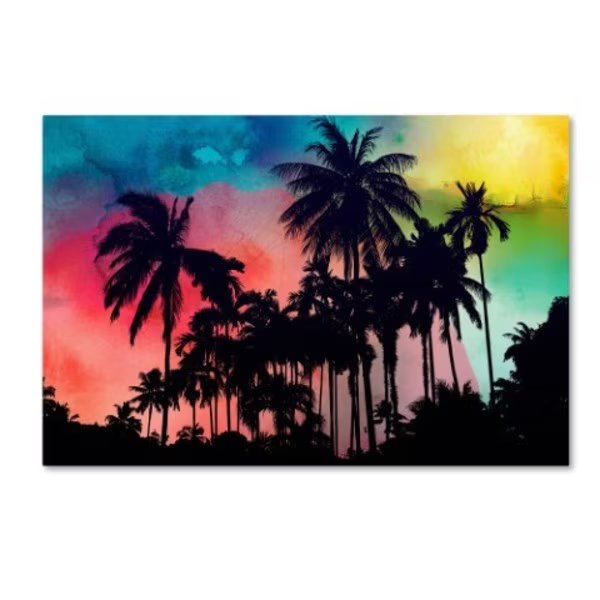 Mark Ashkenazi 'Img 8486 C' Canvas Art, 30x47, Trademark Fine Art, Mfr#: ALI7905-C3047GG